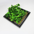 Novo design personalizado 25 * 25 cm plantas artificiais para decoração de escritório